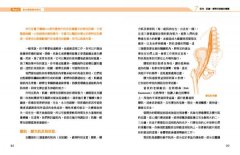 量子觸療2.0：解放你超乎想像的療癒能力 圖片 8