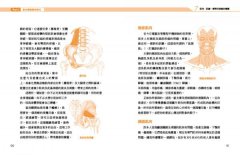 量子觸療2.0：解放你超乎想像的療癒能力 圖片 9
