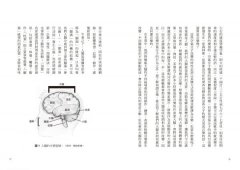 大腦喜歡你玩音樂：創作、學習、演奏和聆聽音樂的神經科學 圖片 3