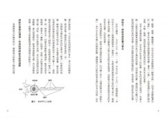 大腦喜歡你玩音樂：創作、學習、演奏和聆聽音樂的神經科學 圖片 4