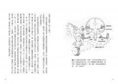 大腦喜歡你玩音樂：創作、學習、演奏和聆聽音樂的神經科學 圖片 6