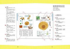 種子圖鑑：天上飛、河裡游、偽裝欺敵搞心機⋯讓你意想不到的種子變身小劇場 圖片 5