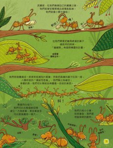 歡迎來我家！動物的奇妙生活1（陸地動物）：彈簧舌、空中滑翔、泡沫防護罩…….，讓你嘆為觀止的吃拉睡生存技  圖片 3