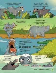 歡迎來我家！動物的奇妙生活1（陸地動物）：彈簧舌、空中滑翔、泡沫防護罩…….，讓你嘆為觀止的吃拉睡生存技  圖片 5