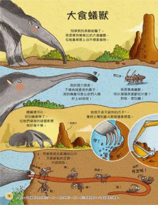 歡迎來我家！動物的奇妙生活1（陸地動物）：彈簧舌、空中滑翔、泡沫防護罩…….，讓你嘆為觀止的吃拉睡生存技  圖片 6