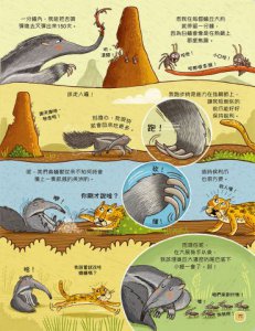 歡迎來我家！動物的奇妙生活1（陸地動物）：彈簧舌、空中滑翔、泡沫防護罩…….，讓你嘆為觀止的吃拉睡生存技  圖片 7