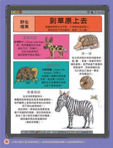 歡迎來我家！動物的奇妙生活1（陸地動物）：彈簧舌、空中滑翔、泡沫防護罩…….，讓你嘆為觀止的吃拉睡生存技  圖片 8