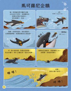 歡迎來我家！動物的奇妙生活2（極地、水生與夜間動物）：長牙棒、水上跑、黑暗中打獵…….，讓你大開眼界的吃拉睡生存技 圖片 2