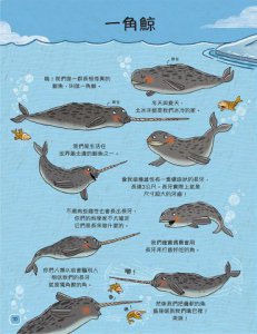 歡迎來我家！動物的奇妙生活2（極地、水生與夜間動物）：長牙棒、水上跑、黑暗中打獵…….，讓你大開眼界的吃拉睡生存技 圖片 4