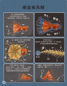 歡迎來我家！動物的奇妙生活2（極地、水生與夜間動物）：長牙棒、水上跑、黑暗中打獵…….，讓你大開眼界的吃拉睡生存技 圖片 6