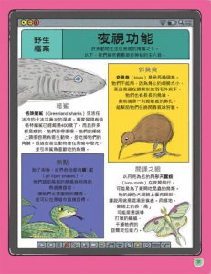 歡迎來我家！動物的奇妙生活2（極地、水生與夜間動物）：長牙棒、水上跑、黑暗中打獵…….，讓你大開眼界的吃拉睡生存技 圖片 8
