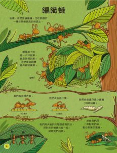 【歡迎來我家！動物的奇妙生活1～2】（兩冊）：陸地動物+極地、水生與夜間動物 圖片 4