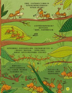 【歡迎來我家！動物的奇妙生活1～2】（兩冊）：陸地動物+極地、水生與夜間動物 圖片 5