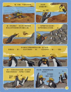 【歡迎來我家！動物的奇妙生活1～2】（兩冊）：陸地動物+極地、水生與夜間動物 圖片 9