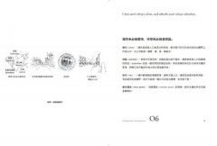 好城市的空間法則【長銷經典版】：給所有人的第一堂空間課，看穿日常慣性，找出友善城市的101關鍵要素 圖片 3