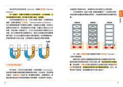 物理角色圖鑑：用35個萌角色掌握最重要的物理觀念，秒懂生活中的科普知識 圖片 11