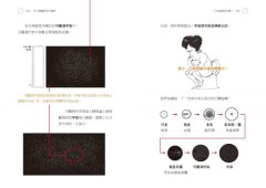 半小時漫畫宇宙大爆炸 圖片 6