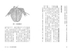 大腦升級2.0，鍛鍊更強大的自己【全新修訂版】：重新連結、活化刺激腦神經，擺脫負能量，迎接好生活 圖片 4