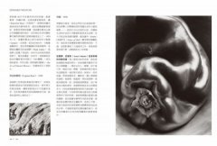解讀攝影大師【長銷經典版】：認識他們的創作人生、觀點與作品觀看之道 圖片 5