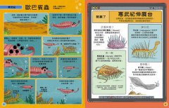 歡迎來我家！動物的奇妙生活3(史前巨獸)：比你還高的奇怪大蝦，跟汽車一樣長的巨大馬陸……從海洋到陸地，40種大開眼界的古老生物 圖片 3