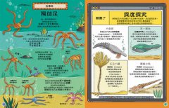 歡迎來我家！動物的奇妙生活3(史前巨獸)：比你還高的奇怪大蝦，跟汽車一樣長的巨大馬陸……從海洋到陸地，40種大開眼界的古老生物 圖片 4