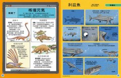 歡迎來我家！動物的奇妙生活4(恐龍、鳥與哺乳類)：從怪牙、異爪、長翅膀到雙腳站立，60種傳奇動物的生存大對決 圖片 3