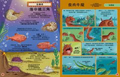 歡迎來我家！動物的奇妙生活4(恐龍、鳥與哺乳類)：從怪牙、異爪、長翅膀到雙腳站立，60種傳奇動物的生存大對決 圖片 5