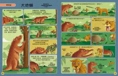 歡迎來我家！動物的奇妙生活4(恐龍、鳥與哺乳類)：從怪牙、異爪、長翅膀到雙腳站立，60種傳奇動物的生存大對決 圖片 6