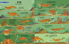 【歡迎來我家！動物的奇妙生活3～4】（兩冊）：史前巨獸+恐龍、鳥類與哺乳類 圖片 2
