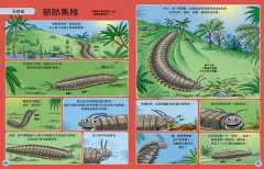 【歡迎來我家！動物的奇妙生活3～4】（兩冊）：史前巨獸+恐龍、鳥類與哺乳類 圖片 5