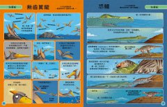【歡迎來我家！動物的奇妙生活3～4】（兩冊）：史前巨獸+恐龍、鳥類與哺乳類 圖片 9