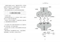 【讓世界更有趣】戴上科學的眼鏡看世界：從相對論到GPS，從人腦構造到AI，一看就懂的科學入門 圖片 6