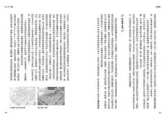 味覺獵人：舌尖上的科學與美食癡迷症指南 圖片 4