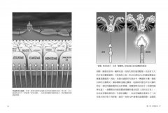 阿茲海默症預防、逆轉全書：【ReCODE療法終極版】第一個擁有最多實證，能成功逆轉阿茲海默症，提高認知能力的整體療法 圖片 5