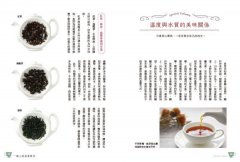 一個人的茶會時光：一日七杯茶的英式生活哲學，紅茶專家為你打造五感療癒的名店級美味 圖片 4