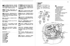人體解剖著色學習手冊【附12色彩色鉛筆】：邊看邊畫邊學，為知識上色，更有趣、更輕鬆、更好記 圖片 7