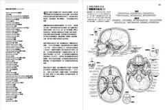 人體解剖著色學習手冊【附12色彩色鉛筆】：邊看邊畫邊學，為知識上色，更有趣、更輕鬆、更好記 圖片 9