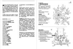 人體解剖著色學習手冊【附12色彩色鉛筆】：邊看邊畫邊學，為知識上色，更有趣、更輕鬆、更好記 圖片 10