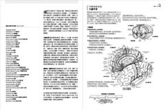 人體解剖著色學習手冊【附12色彩色鉛筆】：邊看邊畫邊學，為知識上色，更有趣、更輕鬆、更好記 圖片 11