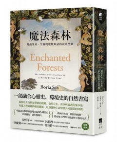 魔法森林：開啟生命、生態與靈性對話的詩意空間 圖片 1