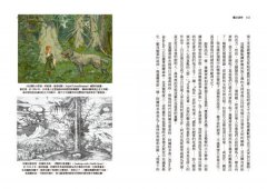 魔法森林：開啟生命、生態與靈性對話的詩意空間 圖片 7