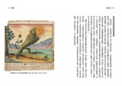 魔法森林：開啟生命、生態與靈性對話的詩意空間 圖片 8