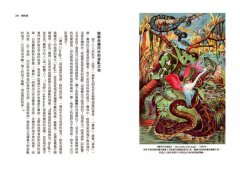 魔法森林：開啟生命、生態與靈性對話的詩意空間 圖片 11