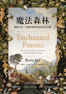 魔法森林：開啟生命、生態與靈性對話的詩意空間 圖片 13