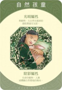 心靈原型卡【典藏盒裝版】：探索靈魂的神聖契約 圖片 10