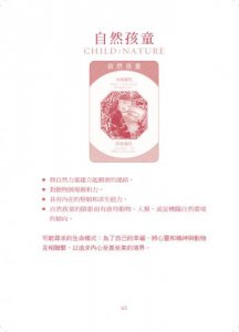心靈原型卡【典藏盒裝版】：探索靈魂的神聖契約 圖片 11