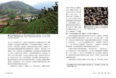 烏龍茶的世界：全方位茶職人45年心血結晶，從種茶、製茶、飲茶，告訴你烏龍茶風味的秘密 圖片 5