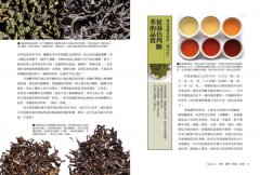 烏龍茶的世界：全方位茶職人45年心血結晶，從種茶、製茶、飲茶，告訴你烏龍茶風味的秘密 圖片 10