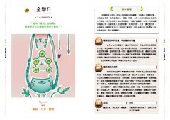 安妮療癒塔羅：《塔羅解讀入門課》+安妮療癒塔羅牌卡78張+高級絲絨牌卡袋 圖片 8