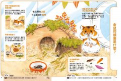 【科學小種籽】第一輯生物篇(套書3冊)：給3~8歲好奇孩子的科學閱讀，聽•讀•查•玩四合一體驗（附23篇故事音檔+家長共讀建議） 圖片 4